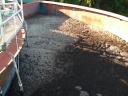 Continental - Digester starts to show a lighter foam on day 4