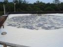 Orange County Leacate Pre-trement
BOD, TKN, Phosphorus reduction
