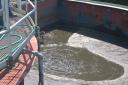 Continental - Shows system running on day one. Installed to reduce BOD, TS, TSS, TKN, Ammonia, Total Suspended Solids