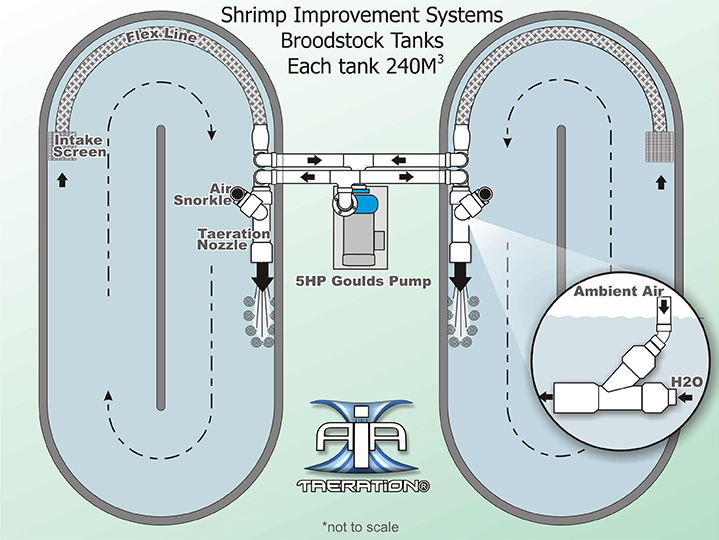 Advanced Industrial Aeration - Shrimp Improvement System