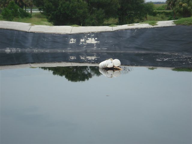 0108DSC00381.JPG